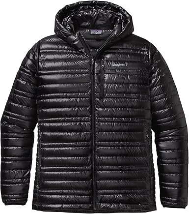 patagonia ultralight jacket